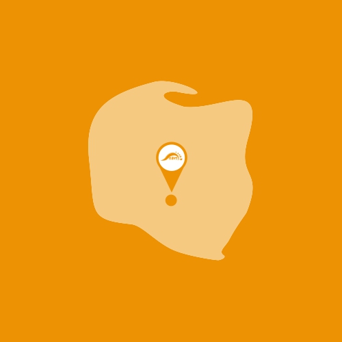 Gdzie kupić stacjonarnie?